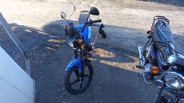 Самый дешевый мопед Альфа в 2023 году. Где купить и как получить скидку до 10 000 руб. смотреть онлайн