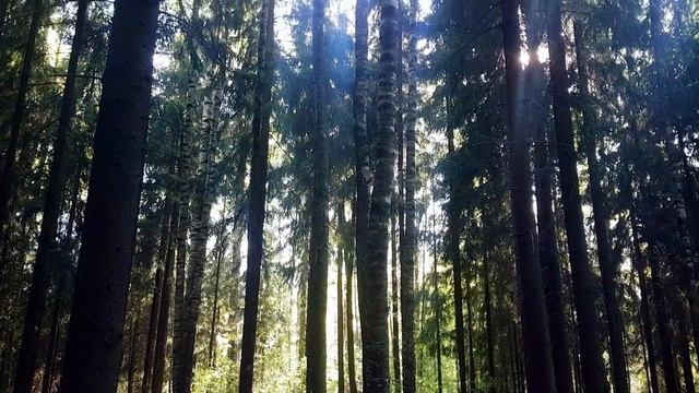 КАК ПОБОРОТЬ ЛЕНЬ смотреть онлайн