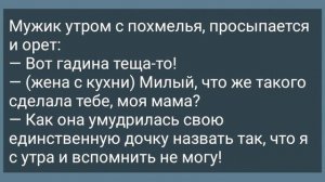 Жена с Любовником в Постели! Сборник Смешных Анекдотов про Мужа и Жену!