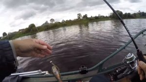 Рыбалка на судака и окуня осенью. Ловля судака на джиг с лодки в сентябре.