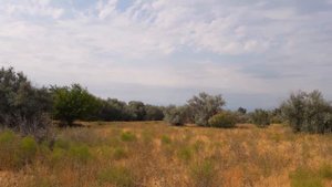 Прикаспий. #Астраханскаяобласть #Растопуловка #Росинка