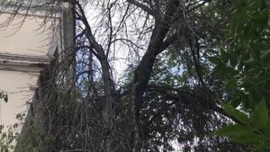ДК КИРОВА в Волгограде - история типичной заброшки