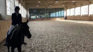 КОННО-VLOG|Соревнования по Выездке|22.02.21🏆