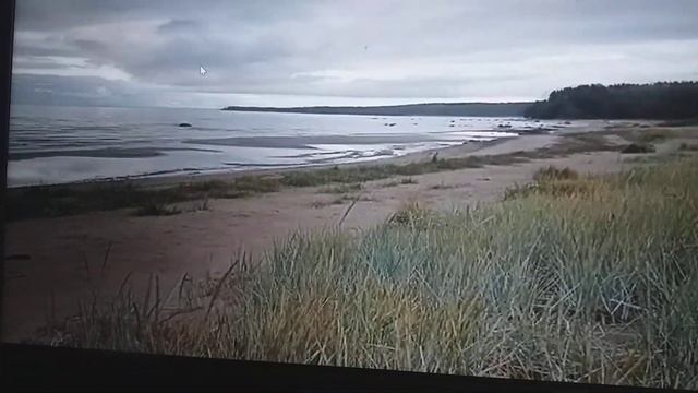 У воды залива цвет свинцовый смотреть онлайн