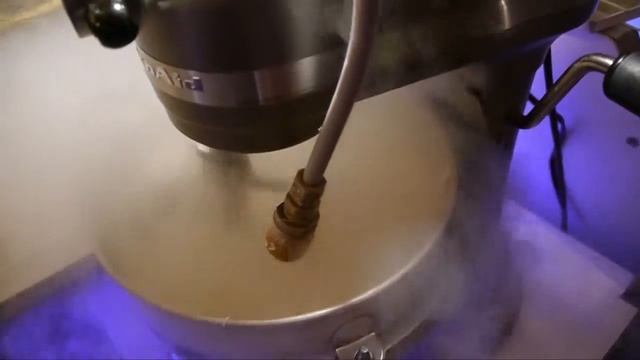 PWG 2012 Orlando Bridal Show смотреть онлайн