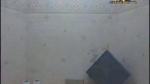 Обои для стен. Критерии выбора обоев для стен