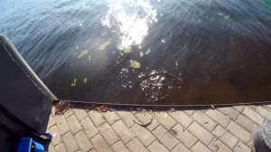 Ловля спиннингом на Химкинском водохранилище на пристани Захарково
