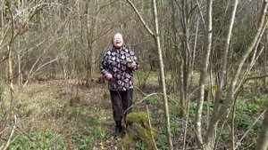 Спустилась ночь над затихающими кленами. Тамара Скобелева.