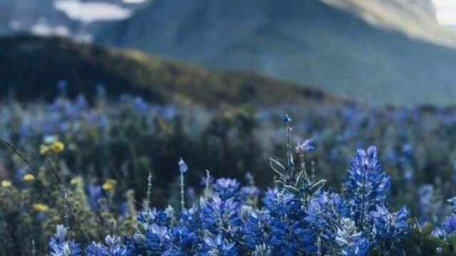 - Я не позволю ей жить в этом доме, какой срам, откуда ты её приволок?- кричал отец, увидев невест смотреть онлайн