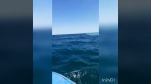 Чудеса Аллаха из корана