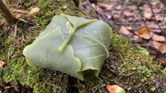 Свеча «Дыхание Леса» от Лесной Волшебницы смотреть онлайн