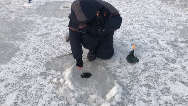 Ловля форели, форелевая рыбалка,безлимит РК «Фишка» Петряиха