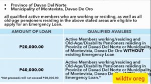 GSIS ADVISORY EMERGENCY LOAN Up to Php 40,000.00 @wildtvoreg