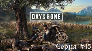 Days Gone ✮Жизнь после✮ ► Серия #45