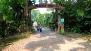 Zoo Negara Malaysia | A Half Day Tour | Fun Things To Do In Kuala Lumpur