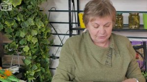 Пересадка Туи ? Как правильно это сделать? ? Советы от эксперта HitsadTV