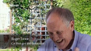 ДИКИЕ КОШКИ. NATIONAL GEOGRAPHIC - WILD SIDE OF CATS HDTV (ДОКУМЕНТАЛЬНЫЕ ФИЛЬМЫ)