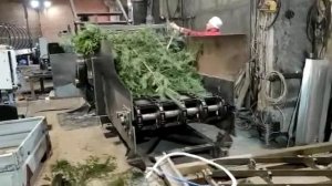 Тестовый запуск щепореза для переработки древесных отходов. Часть 1.