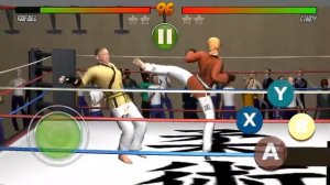 Каратэ игра ?