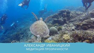 Медитация. Состояние прозрачности. Александр Иваницкий.