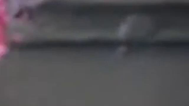 My school cafeteria's corner смотреть онлайн