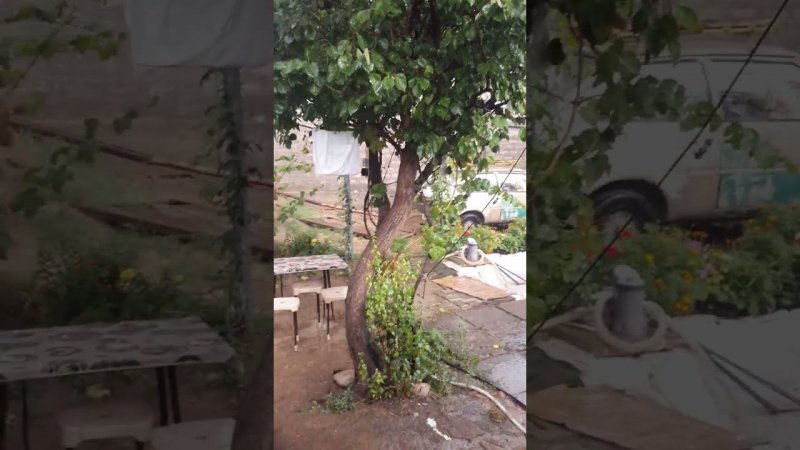 дождь в августе редкость для Узбекистана