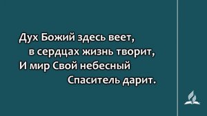 №130 Святой день Господень | Караоке с голосом | Гимны надежды