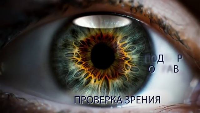 Сеть салонов оптики Мой взгляд! смотреть онлайн