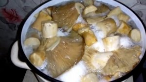 Как мы солим грузди не отваривая,можно и под гнёт