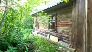 НАШ ТАЕЖНЫЙ ДОМ И РЫБАЛКА НА МИКРО РЕЧКЕ