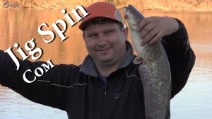 Jig Spin Сом