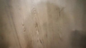 Забой уток.  Какие камни в желудке .?Свежатина.?