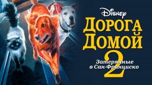 Дорога домой 2: Затерянные в Сан-Франциско (фильм, 1996)
