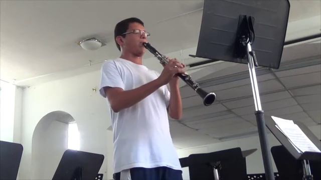 SEBASTIAN SOTO CLARINETE 16 AÑOS IBAGUE TOLIMA BANDA SINFONICA NACIONAL DE COLOMBIA смотреть онлайн