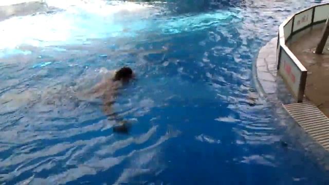 встречное течение Taifun Duo