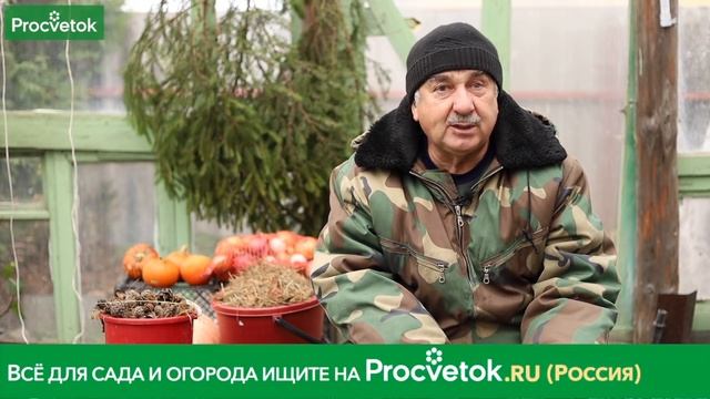 СОСНОВЫЕ ШИШКИ – ТРОЙНАЯ ПОЛЬЗА В САДУ И НА ОГОРОДЕ! И не забываем про хвойный опад!.