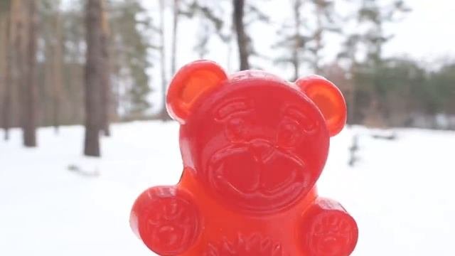 МАНДАРИНОВАЯ ПЛОДОЖОРКА И ЖЕЛЕЙНЫЙ МЕДВЕДЬ ВАЛЕРА