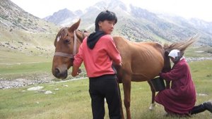 Кумыс как готовить