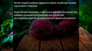 Свёкла – ПОЛЬЗА и ВРЕД для здоровья. Кому нельзя есть свёклу.