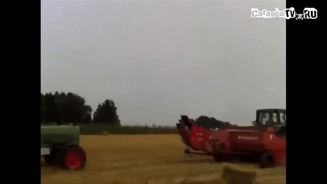 Ржач! Сорока Утащила Гандон смотреть онлайн