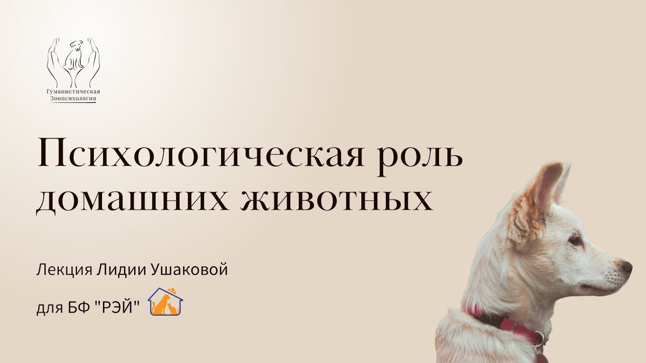 Психологическая роль домашних животных смотреть онлайн