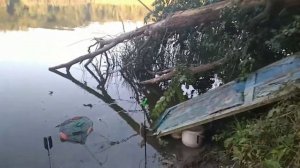 Репная Северский Донец рыбалка