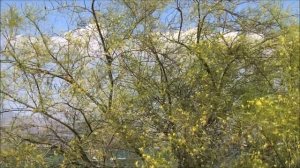 Тверия, Озеро Кинерет (Израиль)..Июнь 2020