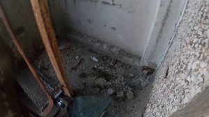 ?ПОЙМАЛА ПОЛИЦИЯ В ПРИПЯТИ☢ ВО ВРЕМЯ КАРАНТИНА. ЧТО ДЕЛАТЬ?
