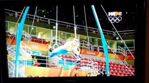 Показательные выступления по спортивной гимнастике