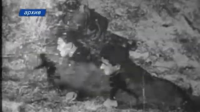 Профессиональный праздник отметили российские смотреть онлайн