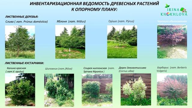 Компьютерное проектирование в ландшафтном дизайне онлайн · Преподаватель Неклюдова Т. Г. | 16+