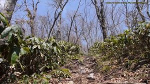 大万木山　Mt.Ooyorogisan（Panasonic LUMIX DMC-GH3）