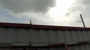 Забор из металлопрофиля цена