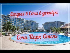 Сочи 2020. Отдых в "Сочи Парк Отель" в декабре.